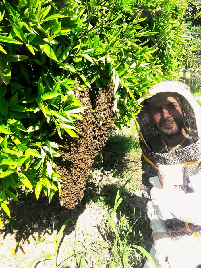 Beekeeping in Cyprus
