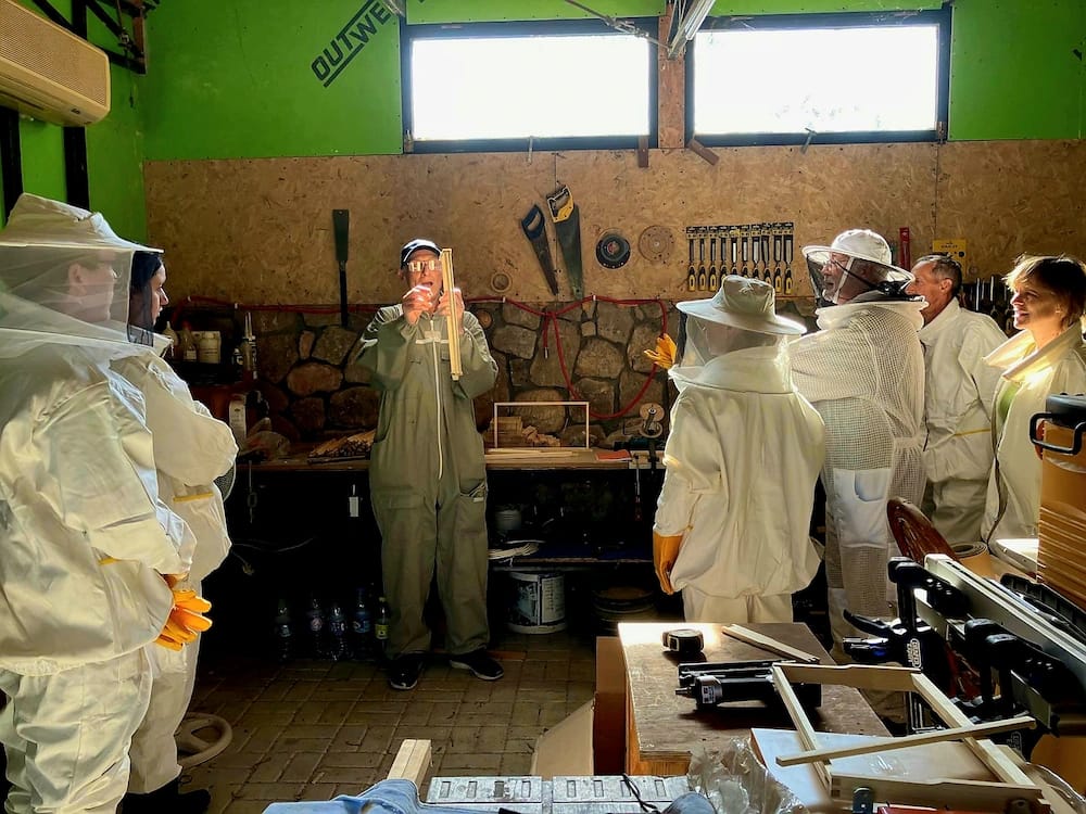 Beekeepers sharing knowledge